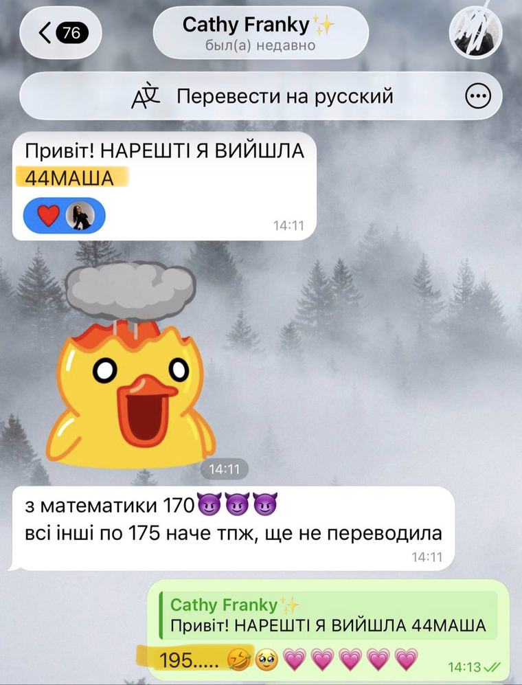 Відгук учня або батьків про підготовку до НМТ